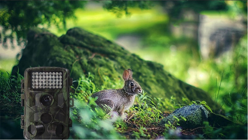 Wild Hunting Trail Camera