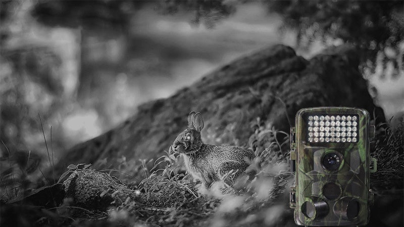 Wild Hunting Trail Camera