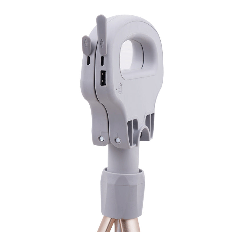 Folding Aluminum Alloy Leisure Trekking Crutches