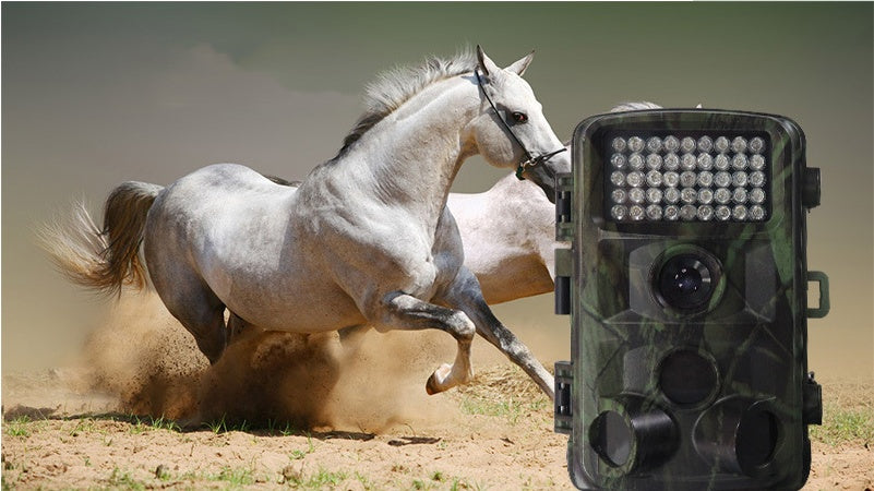 Wild Hunting Trail Camera